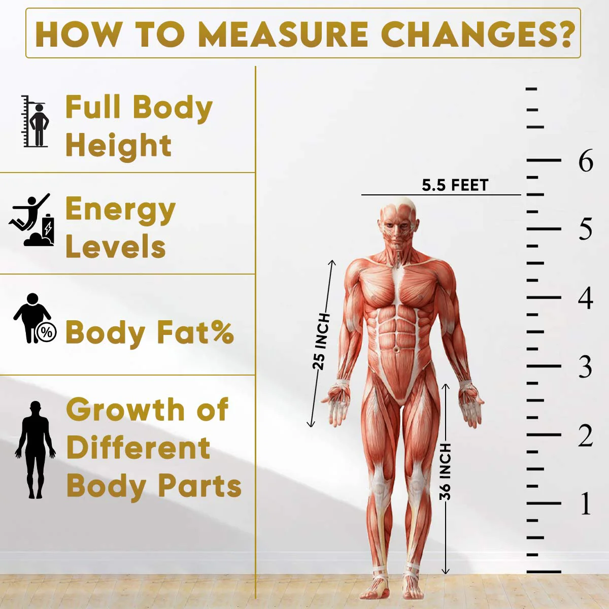 YogaManLab® Growth DNA - Ayurvedic Height Increaser Program | Growth Plate Activator | Guaranteed Results Formula | 100% Natural - Image 19