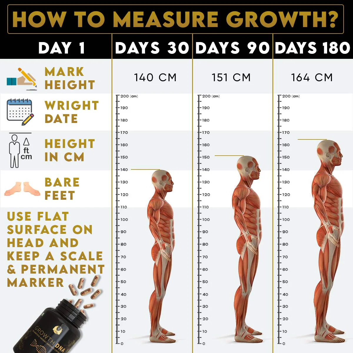 YogaManLab® Growth DNA - Ayurvedic Height Increaser Program | Growth Plate Activator | Guaranteed Results Formula | 100% Natural - Image 21
