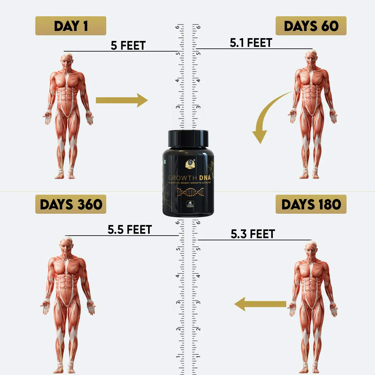 YogaManLab® Growth DNA - Ayurvedic Height Increaser Program | Growth Plate Activator | Guaranteed Results Formula | 100% Natural - Image 3
