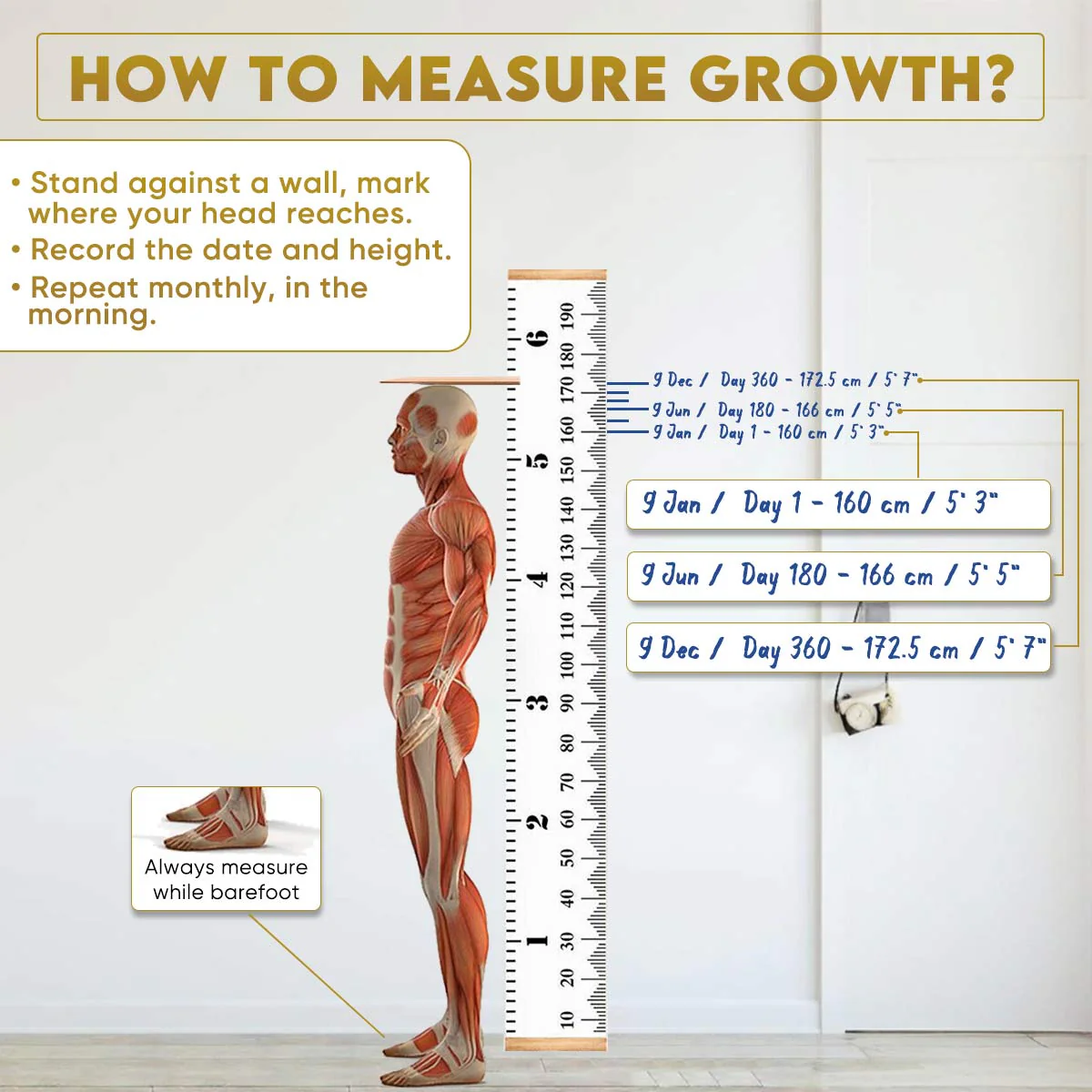 YogaManLab® Growth DNA - Ayurvedic Height Increaser Program | Growth Plate Activator | Guaranteed Results Formula | 100% Natural - Image 5