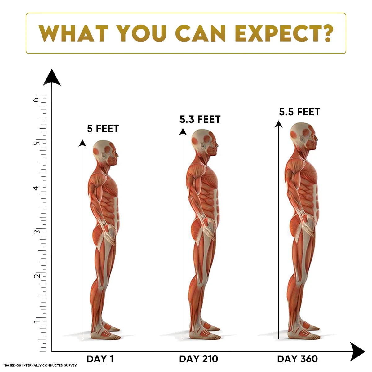 YogaManLab® Growth DNA - Ayurvedic Height Increaser Program | Growth Plate Activator | Guaranteed Results Formula | 100% Natural - Image 6