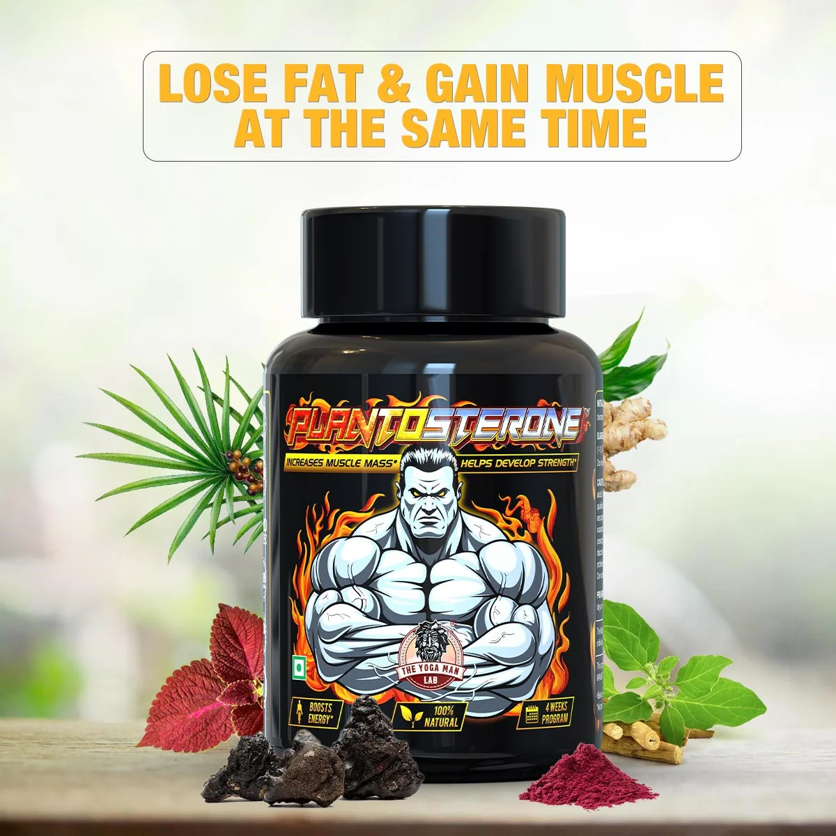 YogaManLab® PLANTOSTERONE - Ayurvedic Muscle Builder & Testosterone Booster | Helps Increase Muscle Size & Body Weight| 100% Natural - Image 14