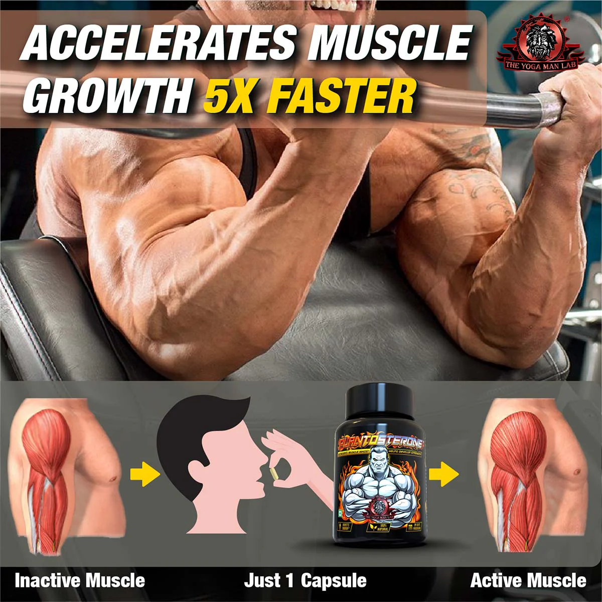 YogaManLab® PLANTOSTERONE - Ayurvedic Muscle Builder & Testosterone Booster | Helps Increase Muscle Size & Body Weight| 100% Natural - Image 17