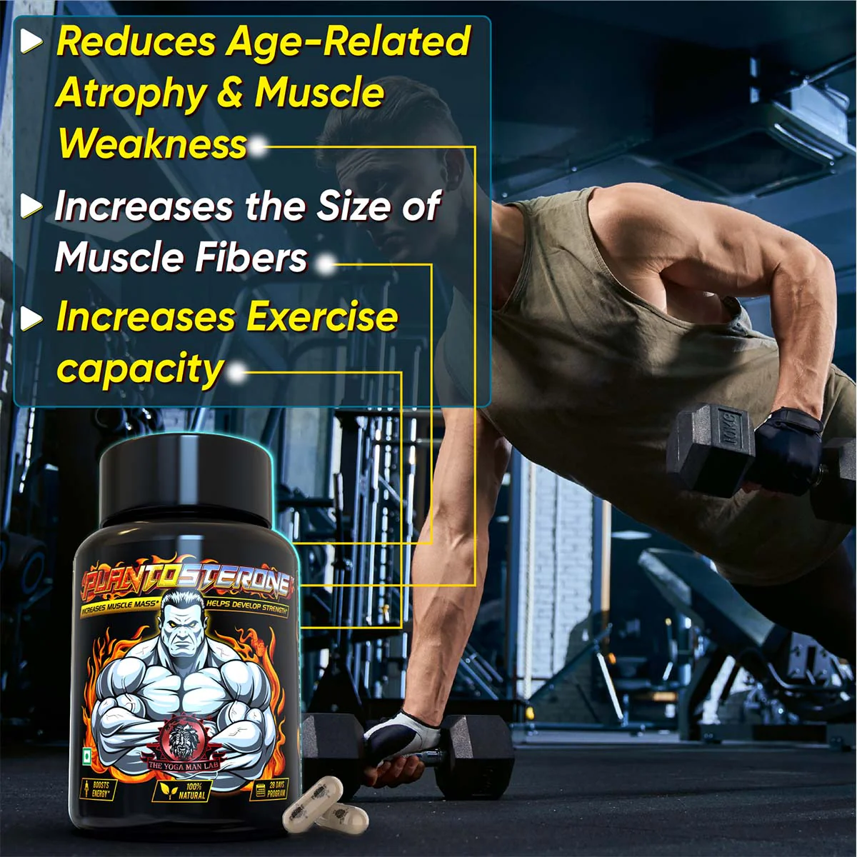 YogaManLab® PLANTOSTERONE - Ayurvedic Muscle Builder & Testosterone Booster | Helps Increase Muscle Size & Body Weight| 100% Natural - Image 21