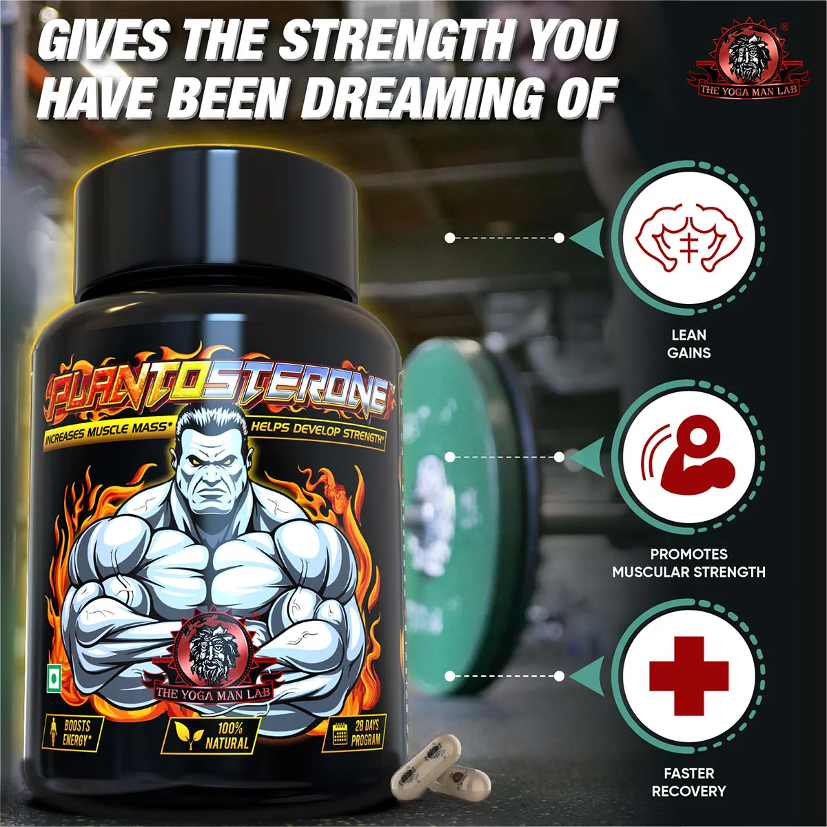 YogaManLab® PLANTOSTERONE - Ayurvedic Muscle Builder & Testosterone Booster | Helps Increase Muscle Size & Body Weight| 100% Natural - Image 23
