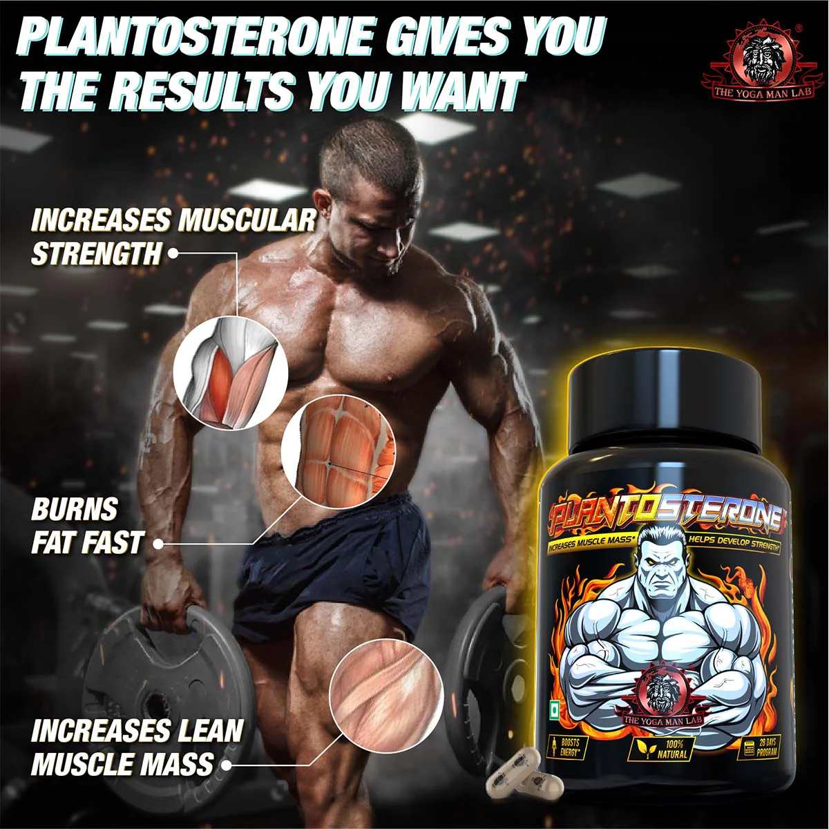 YogaManLab® PLANTOSTERONE - Ayurvedic Muscle Builder & Testosterone Booster | Helps Increase Muscle Size & Body Weight| 100% Natural - Image 24