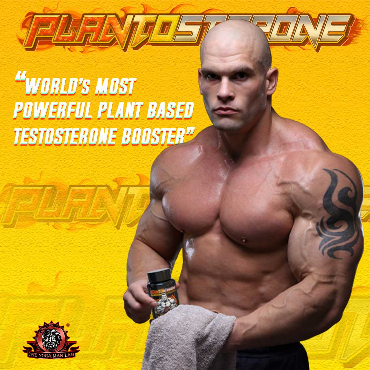 YogaManLab® PLANTOSTERONE - Ayurvedic Muscle Builder & Testosterone Booster | Helps Increase Muscle Size & Body Weight| 100% Natural - Image 26