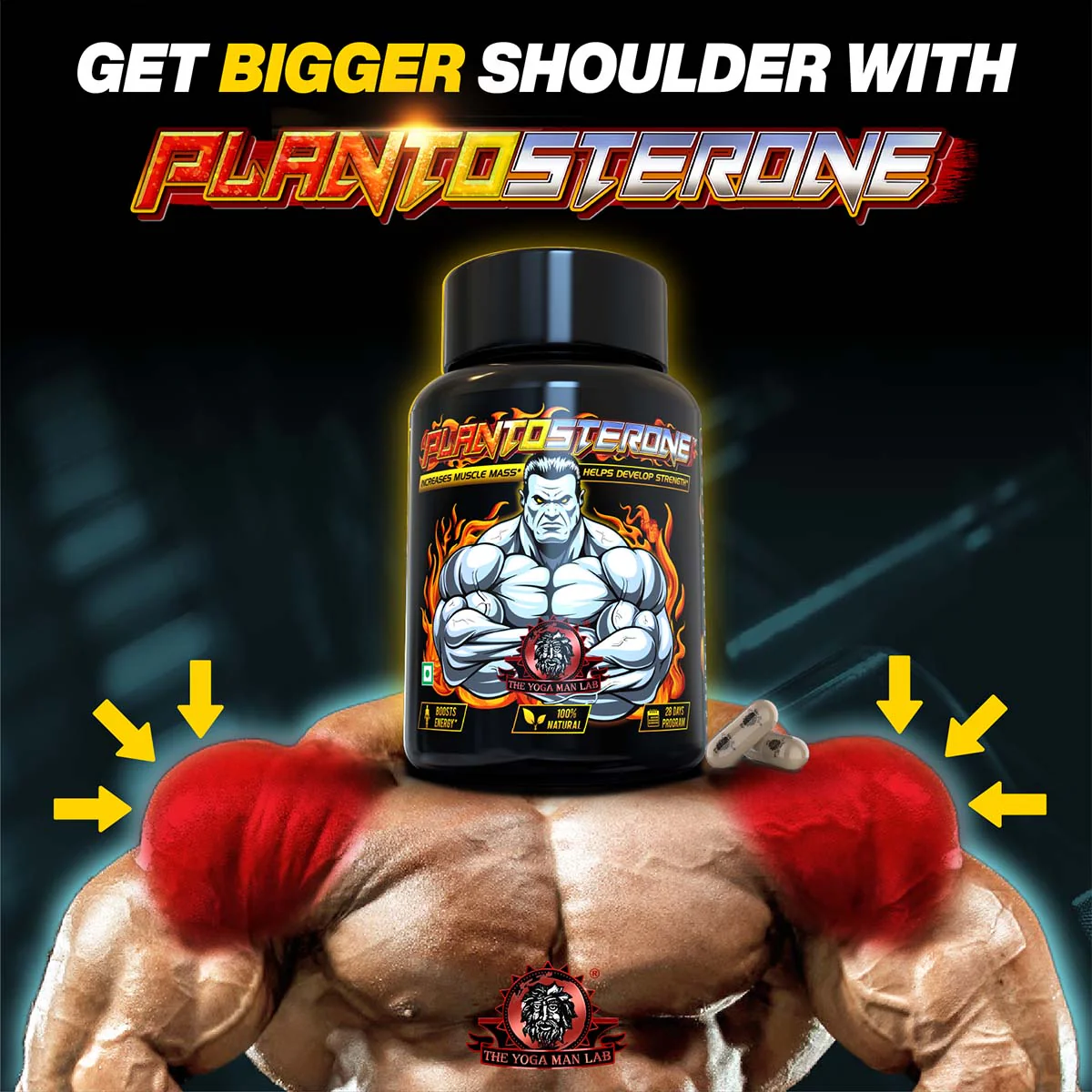 YogaManLab® PLANTOSTERONE - Ayurvedic Muscle Builder & Testosterone Booster | Helps Increase Muscle Size & Body Weight| 100% Natural - Image 28