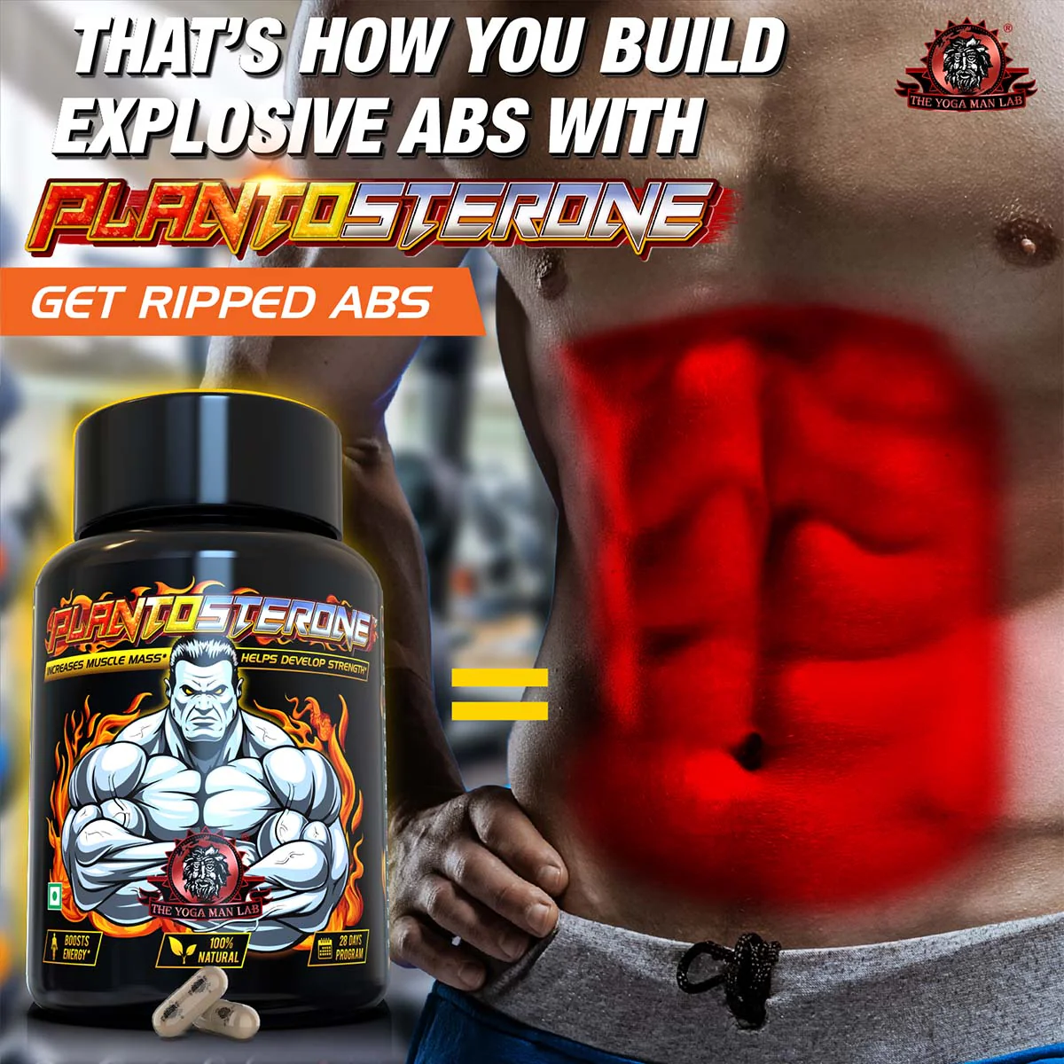 YogaManLab® PLANTOSTERONE - Ayurvedic Muscle Builder & Testosterone Booster | Helps Increase Muscle Size & Body Weight| 100% Natural - Image 29