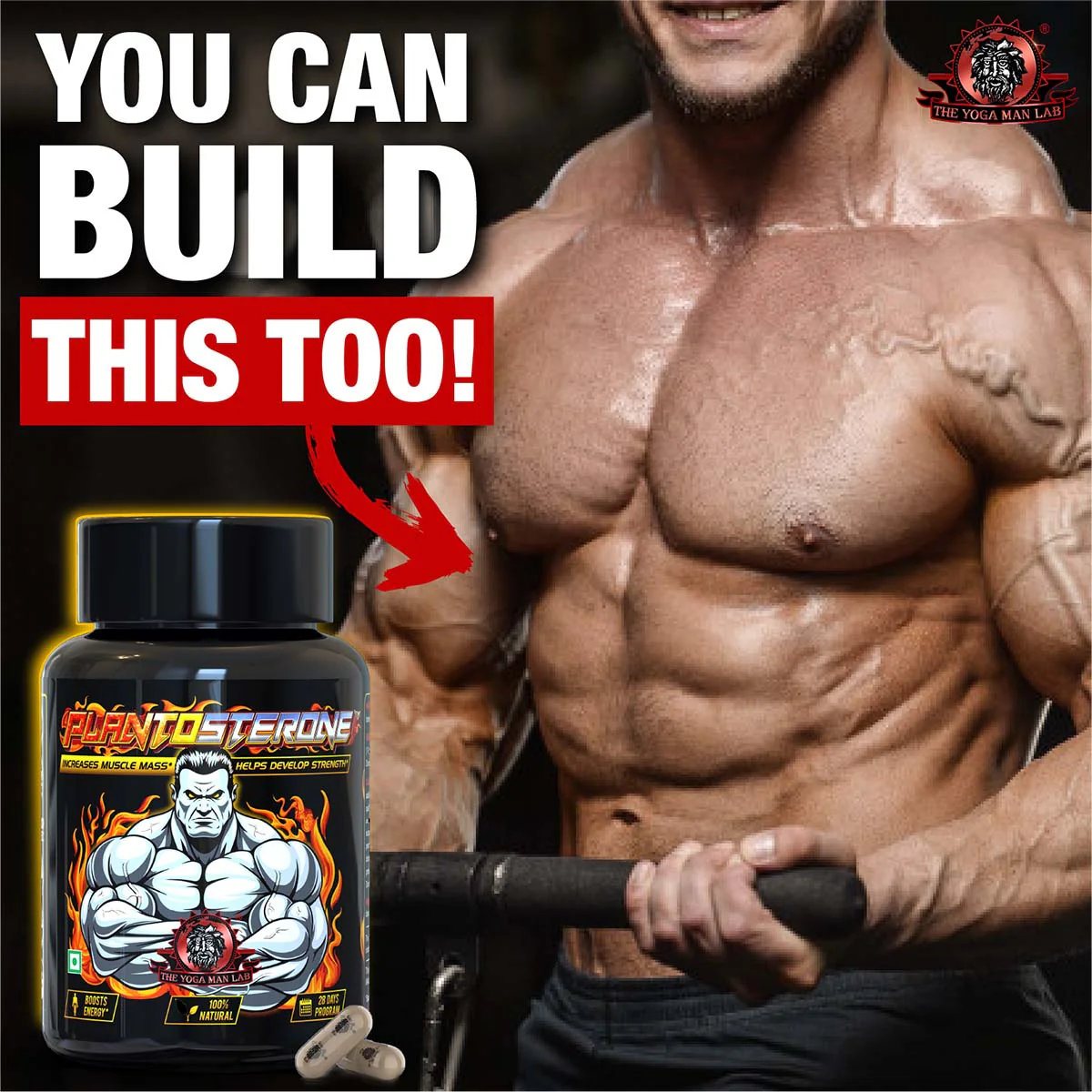 YogaManLab® PLANTOSTERONE - Ayurvedic Muscle Builder & Testosterone Booster | Helps Increase Muscle Size & Body Weight| 100% Natural - Image 30