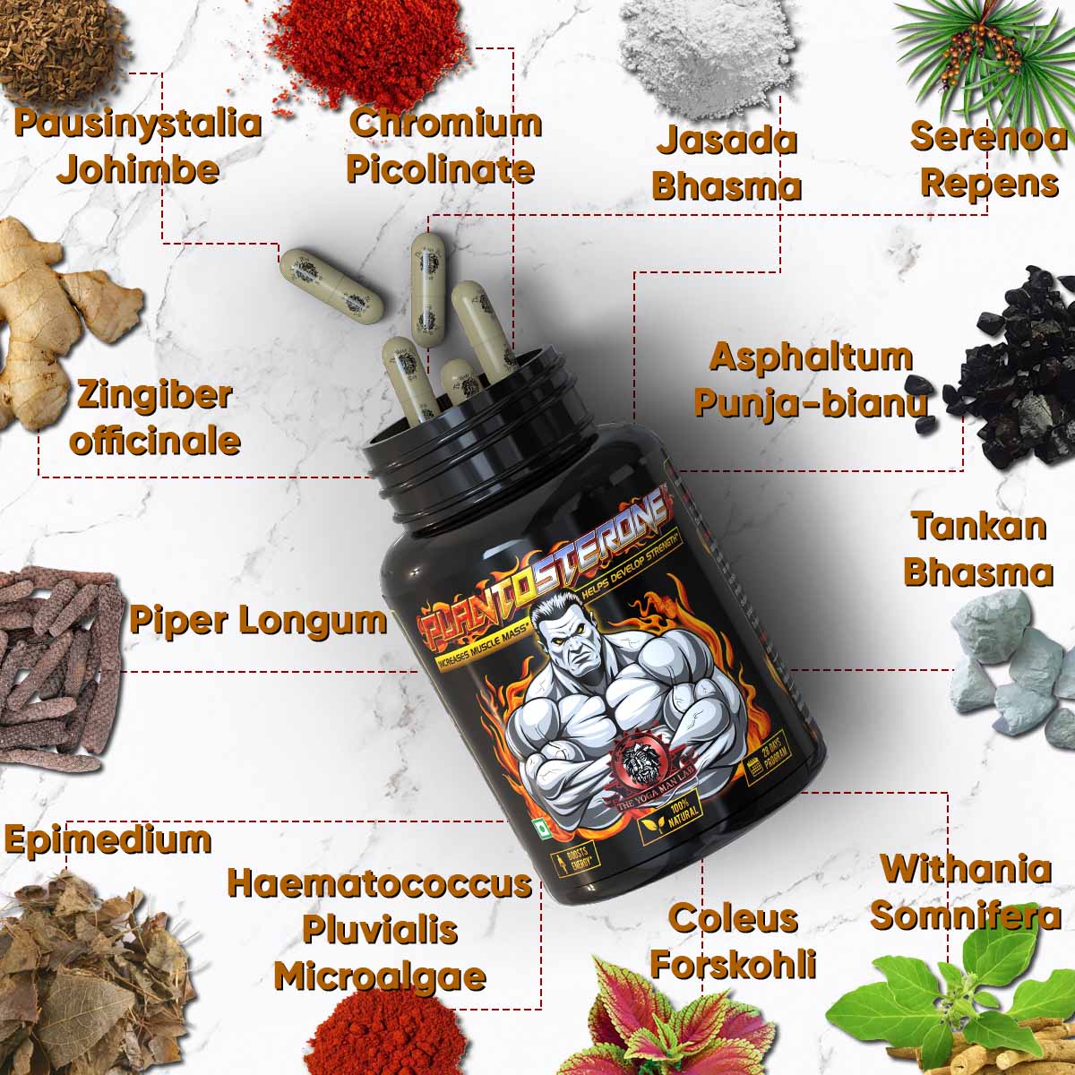 YogaManLab® PLANTOSTERONE - Ayurvedic Muscle Builder & Testosterone Booster | Helps Increase Muscle Size & Body Weight| 100% Natural - Image 4