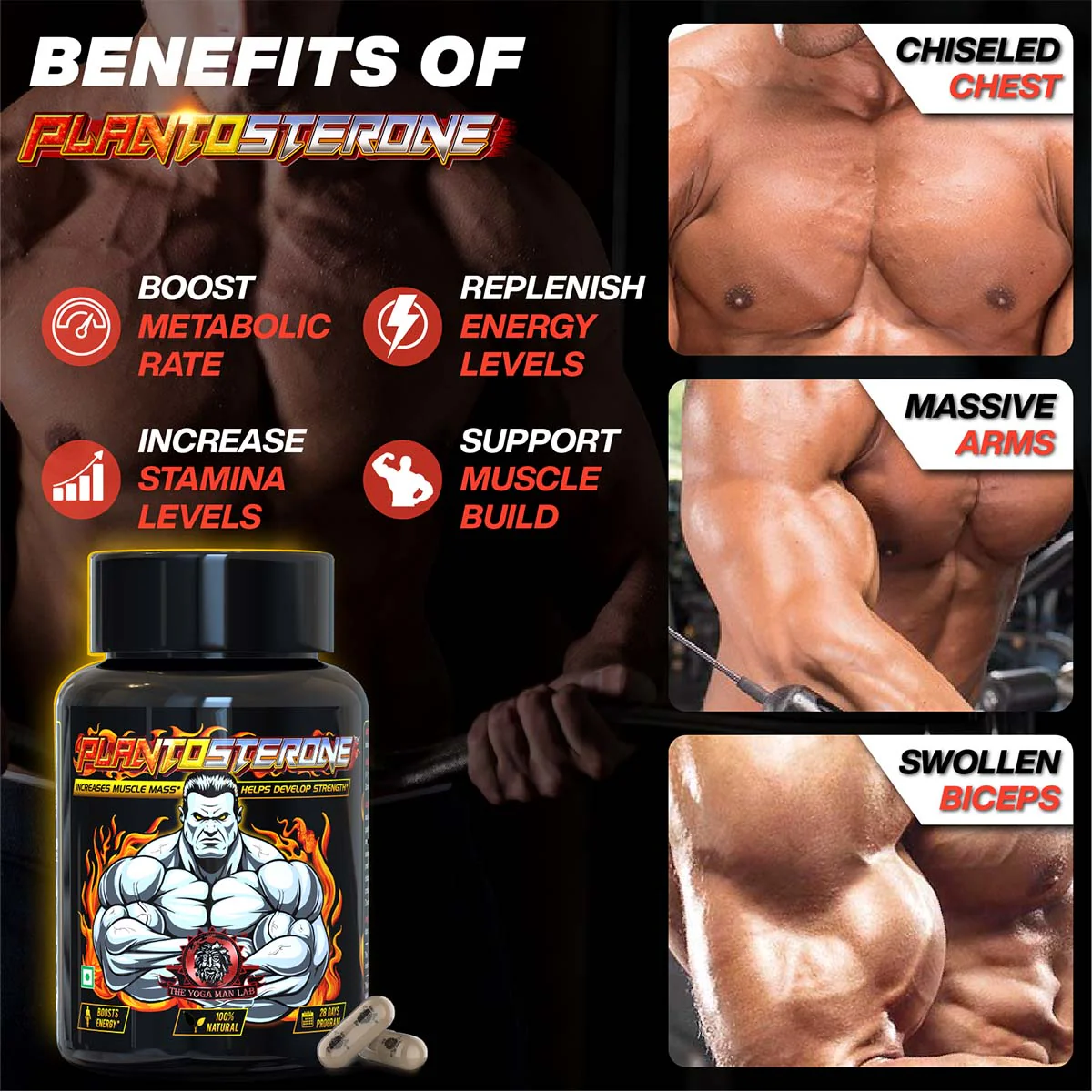 YogaManLab® PLANTOSTERONE - Ayurvedic Muscle Builder & Testosterone Booster | Helps Increase Muscle Size & Body Weight| 100% Natural - Image 6