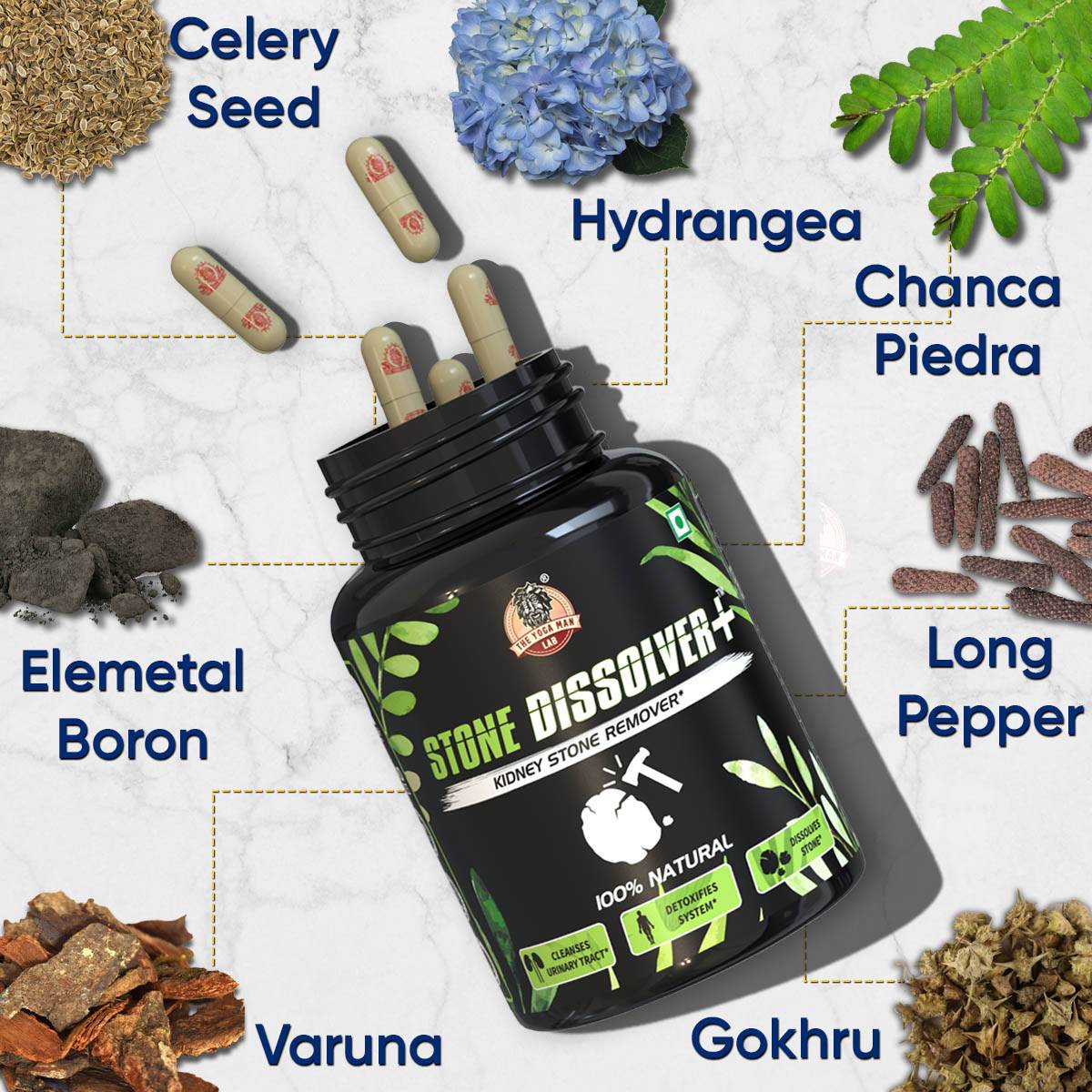 YogaManLab® STONE DISSOLVER+ - Stone Remover Ayurvedic Supplement | 100% Natural & Plant Based - Image 3